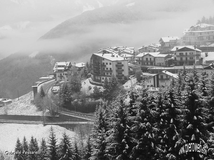 Zambla foto scattata bianco e nero.jpg